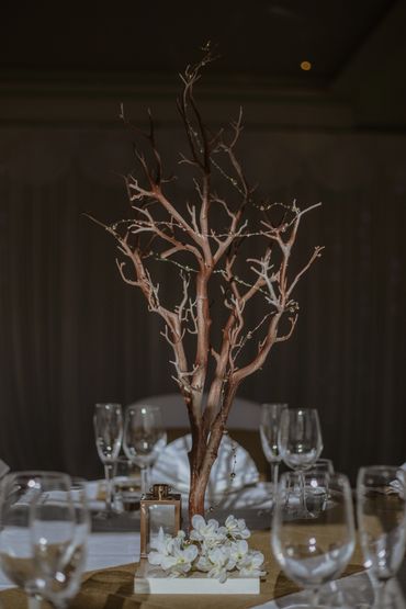 Rustic tree as a centrepiece, decorated with ivory flowers and golden fairy lights.