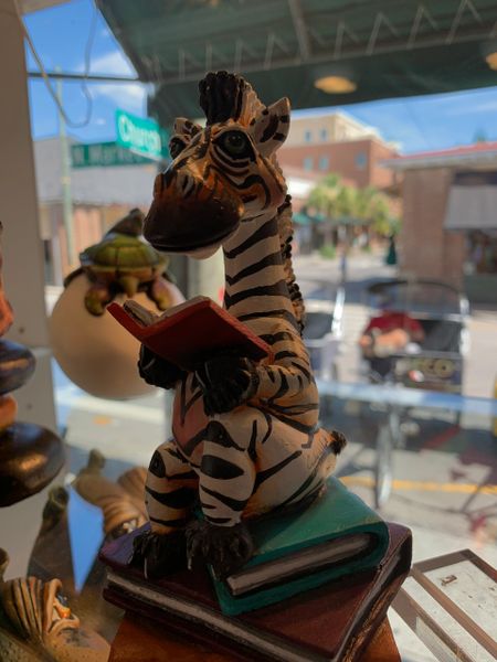 Zebra Mini Book Club