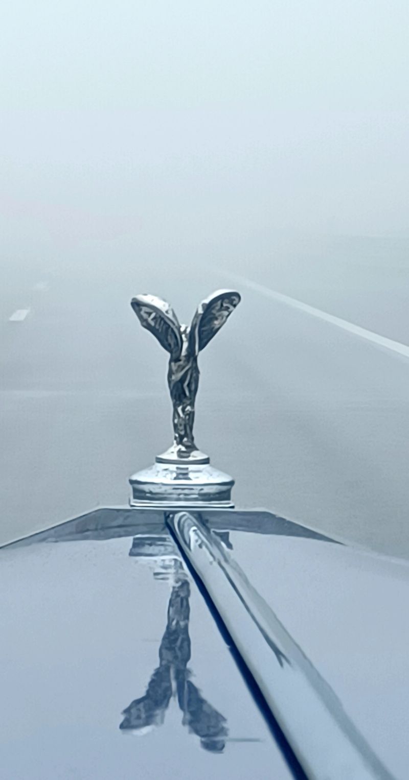 20260314_111447.jpg