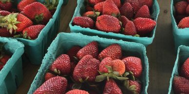 farmers market 