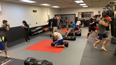 Gym and Fitness Classes, MMA Training