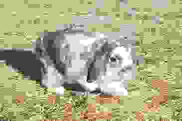 image1624
