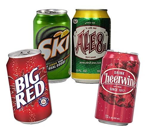 BGM 12 PACK Taste of the South Soda Assortment (Ale 8, Cheerwine, Big Red, Ski)