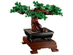 10281 Bonsai Tree