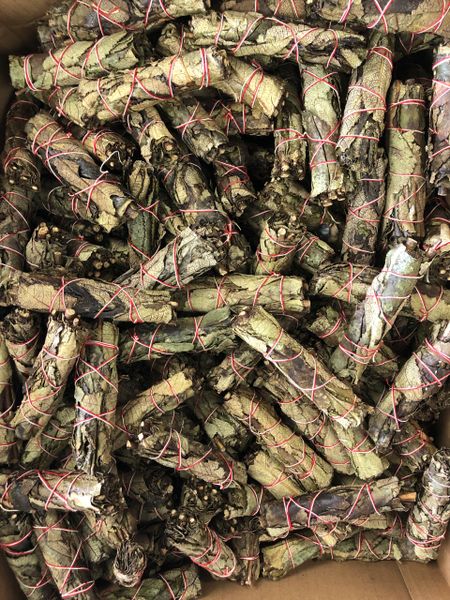 Yerba Santa Sage 4 Inch (500 Bundles)