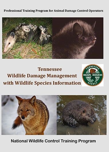 Vole Damage Prevention and Control Methods  Internet Center for Wildlife  Damage Management