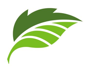 Look for the leaf-Ontario Wood