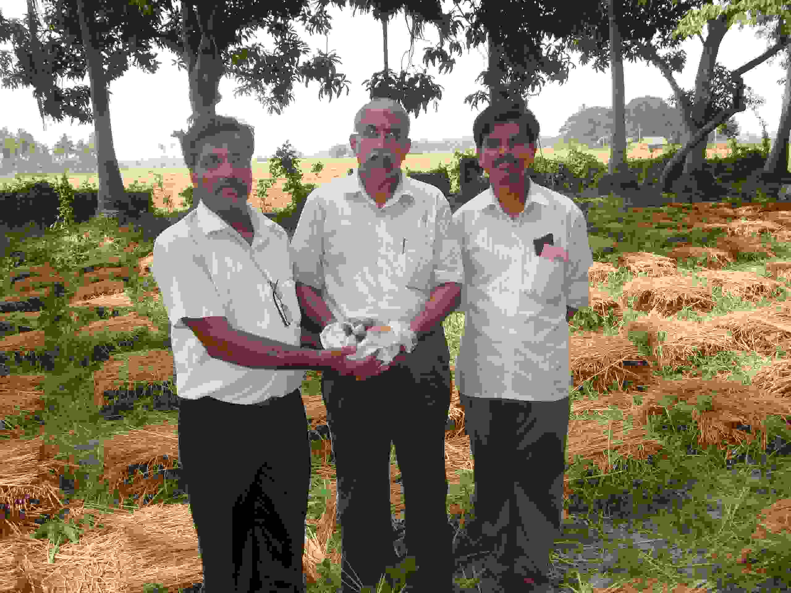 Visit to Paddy Straw Mushroom Farm in Bhuvaneshwar in Odisha state.