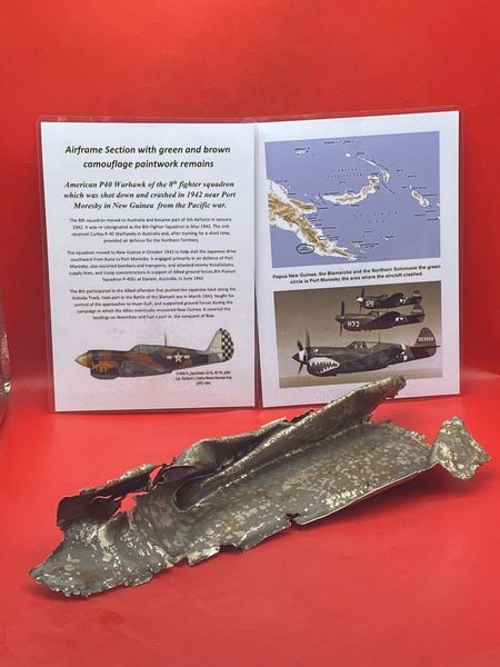 Very rare large aluminium airframe section with green and brown paint remains and green undercoat on the other side very clear to see from American P40 Warhawk of 8th fighter squadron,shot down in 1942 near Port Moresby in New Guinea from the Pacific war.