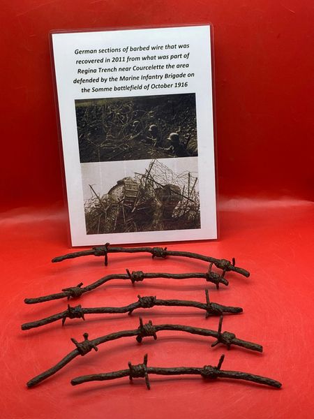 German barbed wire group of larger size parts all nice solid relics recovered in 2011 from Regina Trench, area defended by Marine infantry brigade which is near the village of Courcelette on the Somme battlefield of October 1916