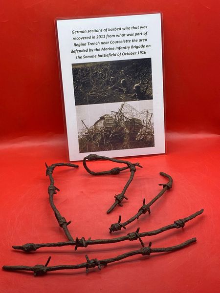 German barbed wire group of larger size parts all nice solid relics recovered in 2011 from Regina Trench, area defended by Marine infantry brigade which is near the village of Courcelette on the Somme battlefield of October 1916