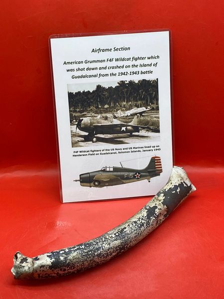 Very rare aluminium airframe tubed section with lots of blue paintwork remains very clear to see from American Grumman Wildcat fighter shot down and crashed in air war over the Island of Guadlcanal from 1942-1943 battlefield