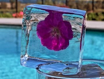 flower clear ice cube