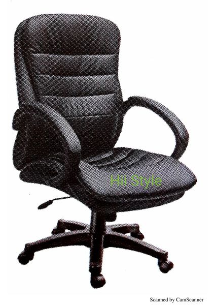 Director Chair 118 Medium Back