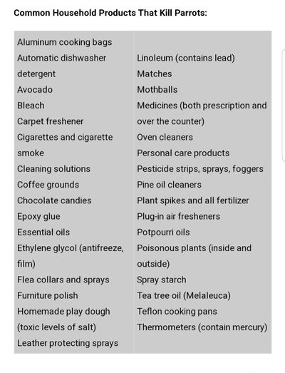 Do 'Cook-In Bags' Contain Fumes Toxic To Birds?