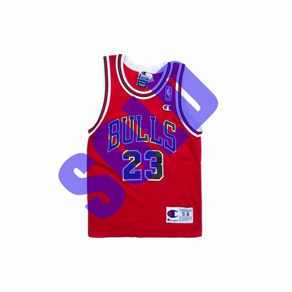 Michael Jordan Chicago Bulls Youth Champion Jersey