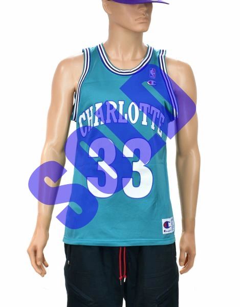 Size 40. Champion NBA Johnson 2 Jersey Charlotte Hornets. 