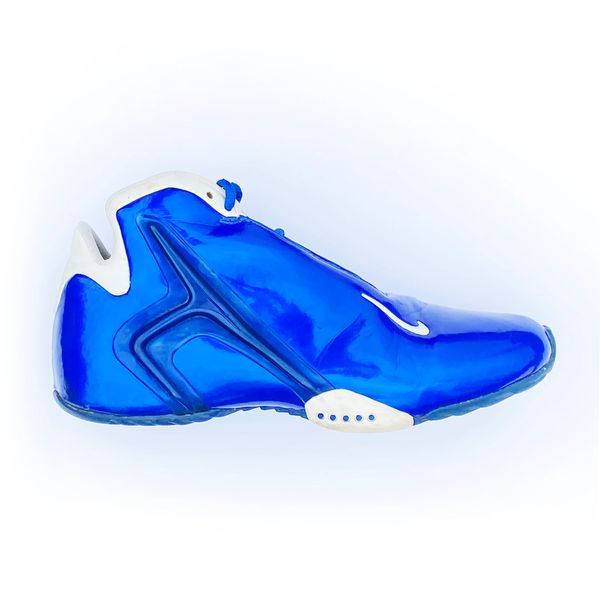 Exención Golpe fuerte Academia Nike Air Hyperflight Original 2001 Shoes Size 9.5 | Doctor Funk's Gallery:  Classic Street & Sportswear