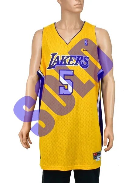 Vintage Nike Lakers Jersey Robert Horry – Santiagosports