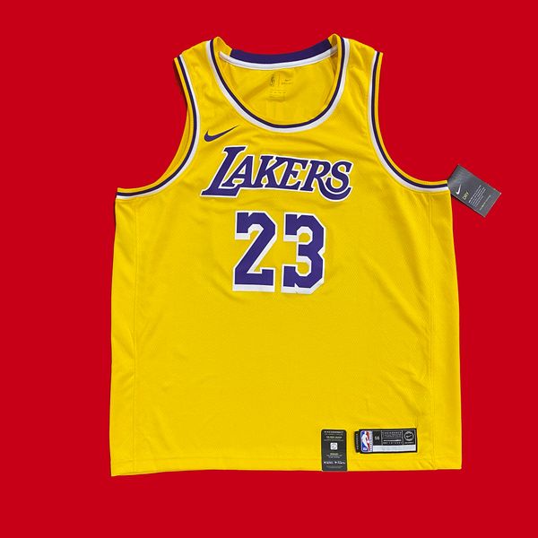 Nike Los Angeles Lakers Lebron James Icon Jersey NEW | Doctor Funk's ...