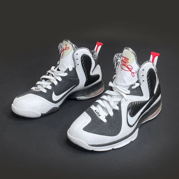 Lebron hotsell 9 freegums