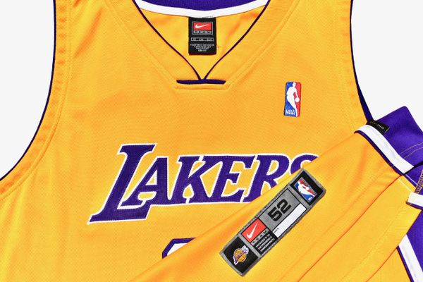 Lot Detail - Karl Malone 2003-2004 Los Angeles Lakers TBC Professional  Model Jersey w/Light Use