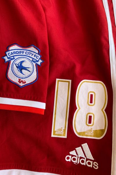 2015/16 CARDIFF CITY MATCH WORN AWAY SHORTS (DOYLE #18)