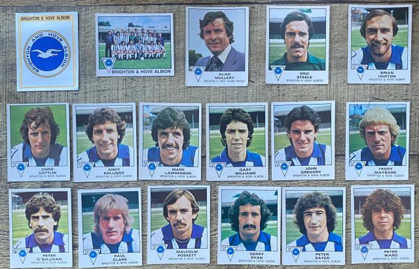 1980 ORIGINAL UNUSED PANINI FOOTBALL 80 STICKERS BRIGHTON AND HOVE ALBION