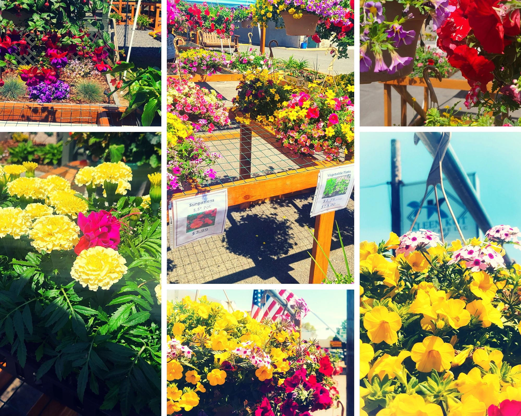 Lawn Care Kleen Kut Lawn Care LLC