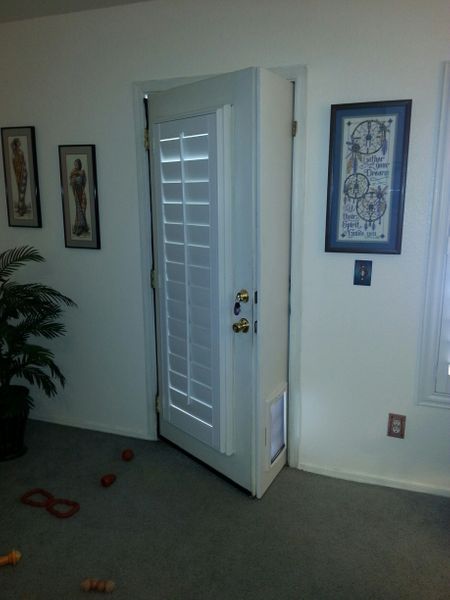 Front door hotsell with pet door