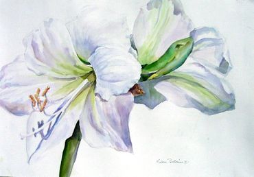WHITE LILY ON WHITE WATERCOLOR FRAMED OR UNFRAMED 11X22  IMAGE
