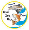 Blue Zoo Bay Vacation Rentals