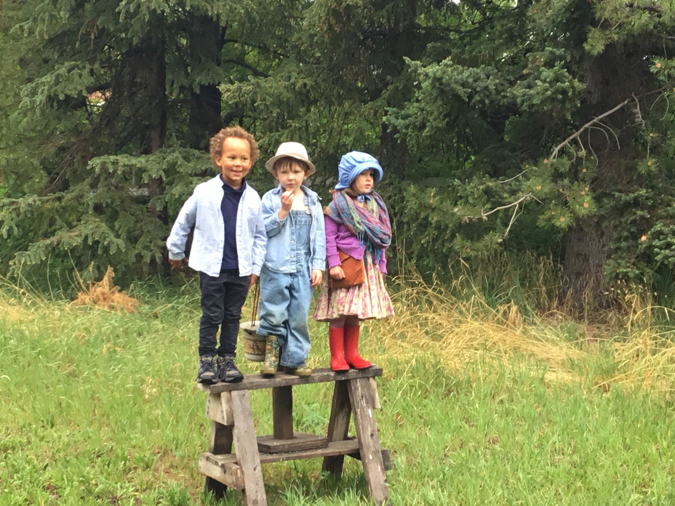 Waldorf Homeschooling Calgary, Alberta
