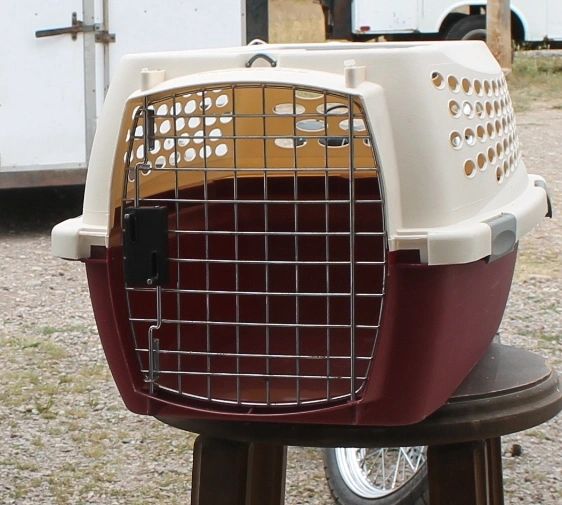 Petmate kennel cab medium sale