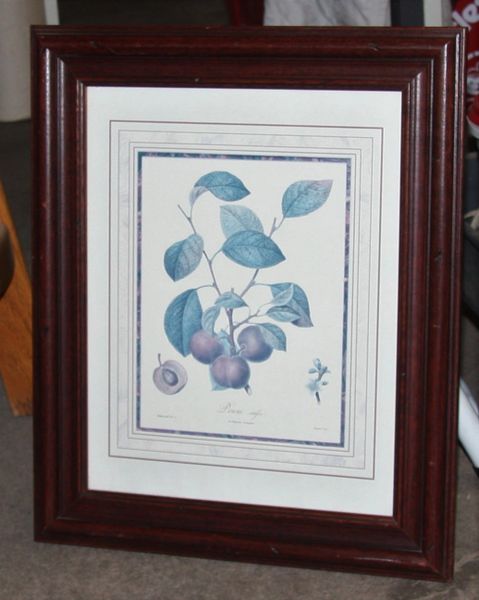 "Prune" Framed Botanical Print