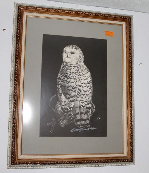 Signed and Framed Owl Print
