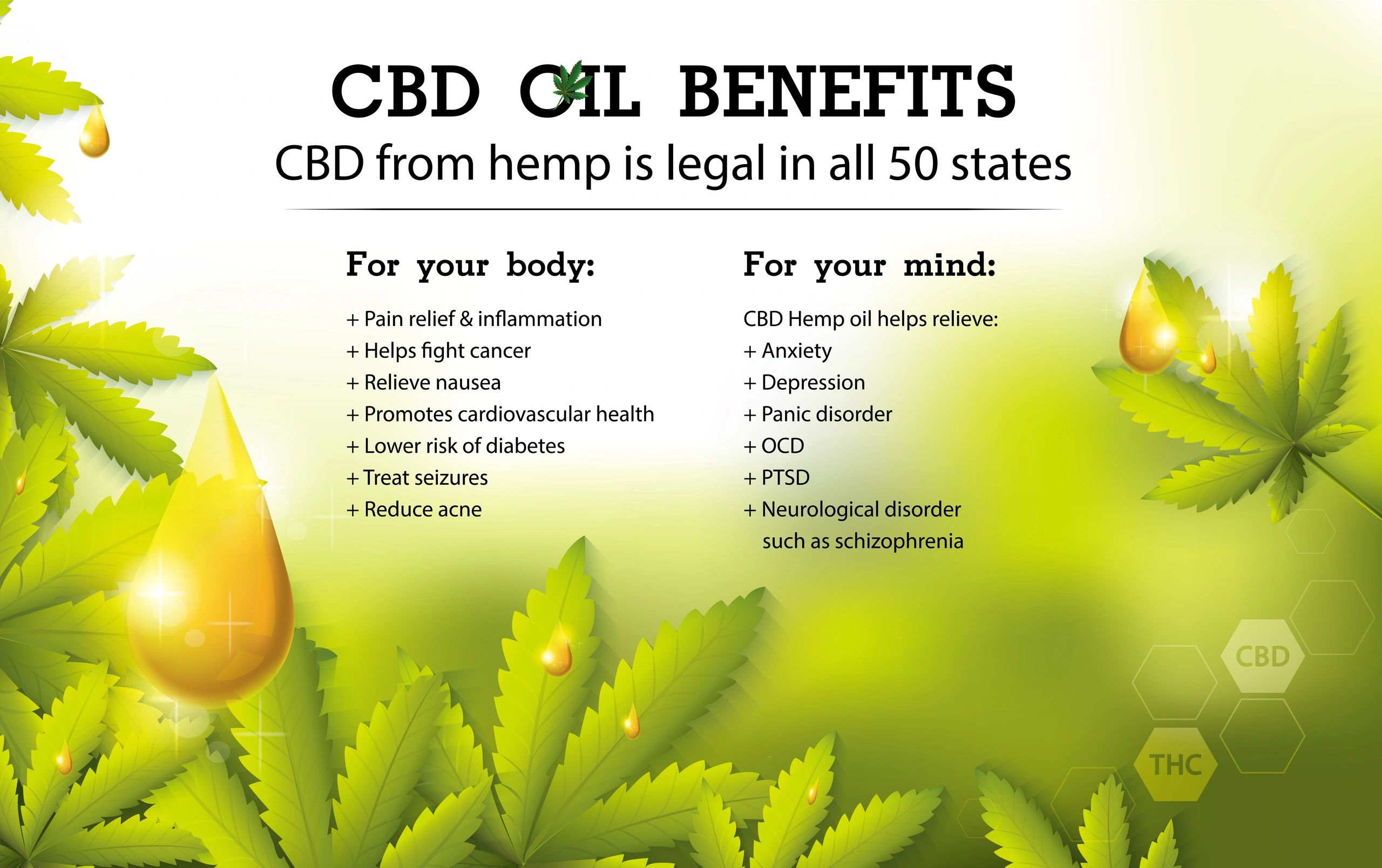 About Hemp  CBD