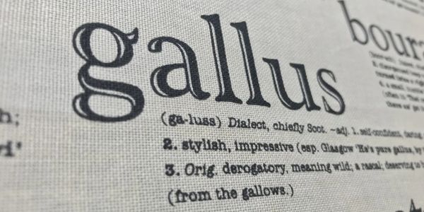 What does gallus mean?  Cheeky, daring.