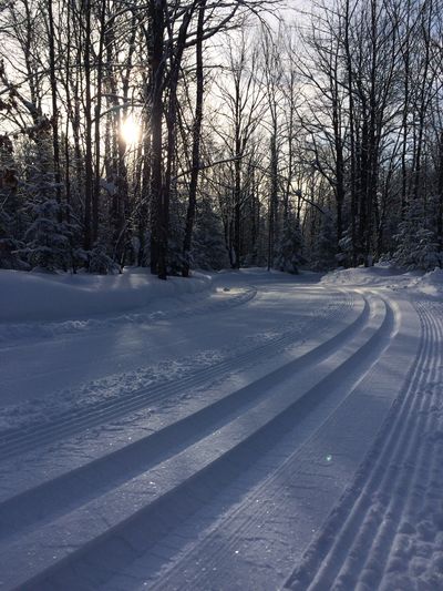Great trail for Classic Cross Country Ski Lessons and Skate Ski Lessons!