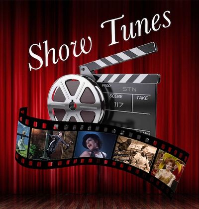 Show Tunes Network is a streaming service that provides curated  themed video shows to bars & clubs 