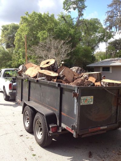 Cut up trees in a dump trailer