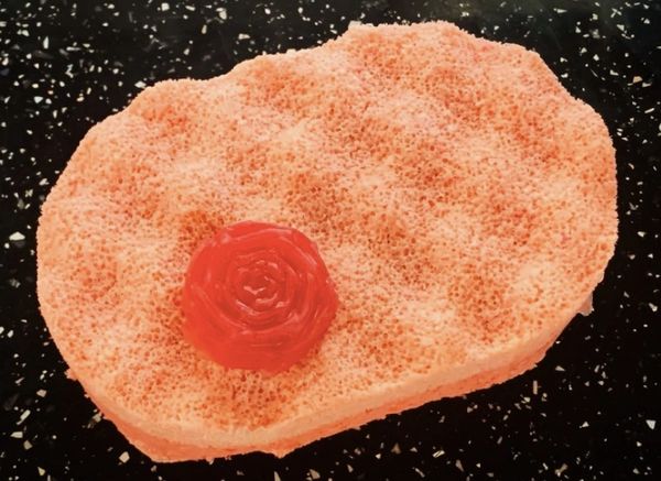 Dusky Rose & Rhubarb Soap Sponge