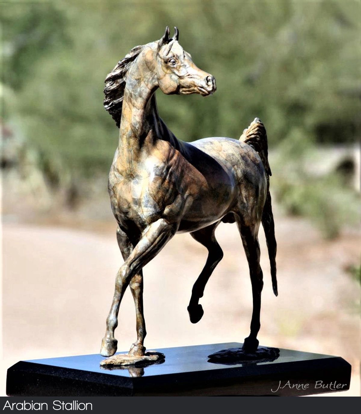 Bronze stallion sculpture in contemporary bronze patina. 