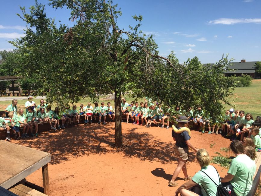 SchoolDaycare Fieldtrips Tiger Safari Zoological Park