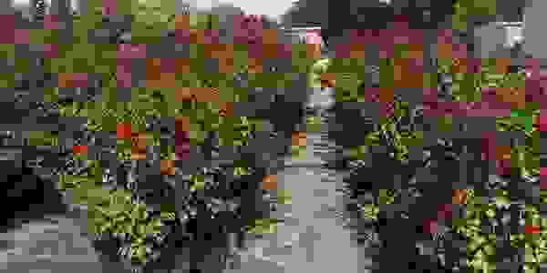 image59