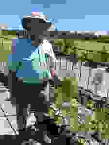 image60