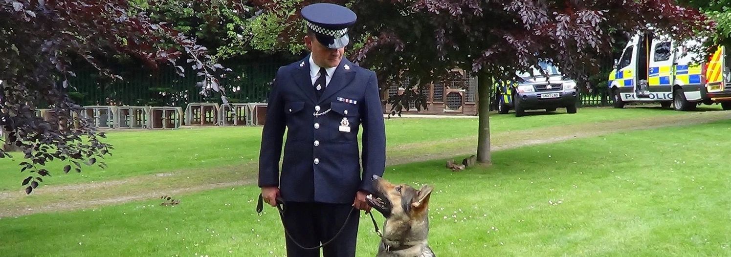 Dog Training Essex ESSEX DOG TRAINING