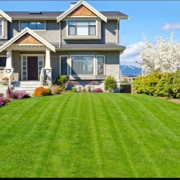 lawn aeration