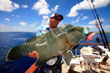 happy guest Bill Boyce with a beautiful Napoleon fish 