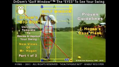 Draw Line Shoulder/Arm/Hand. - BLUE DOT LINE is Parallel To SWING MARQUIS! -"EXPAND IMAGE TO SEE".